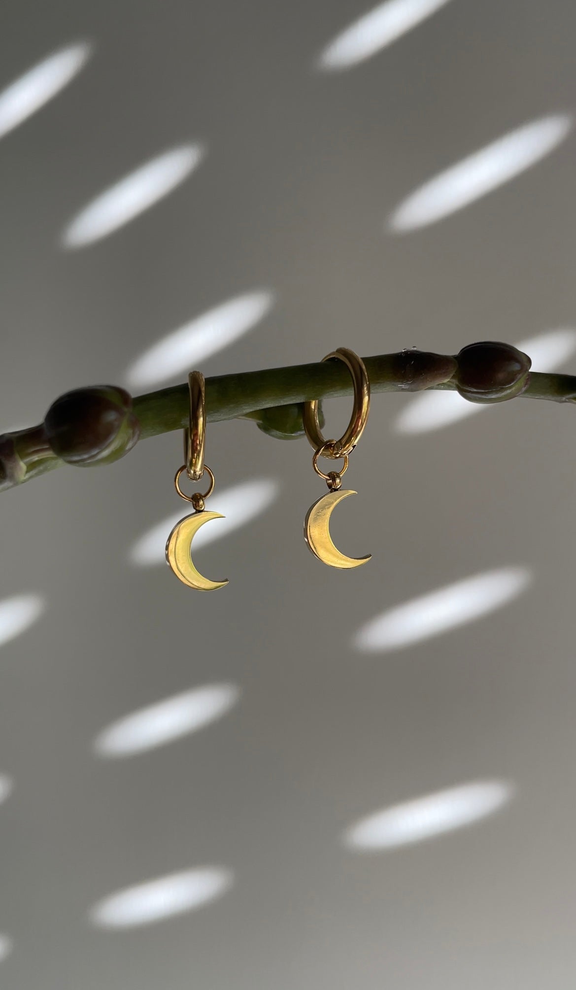 La lune