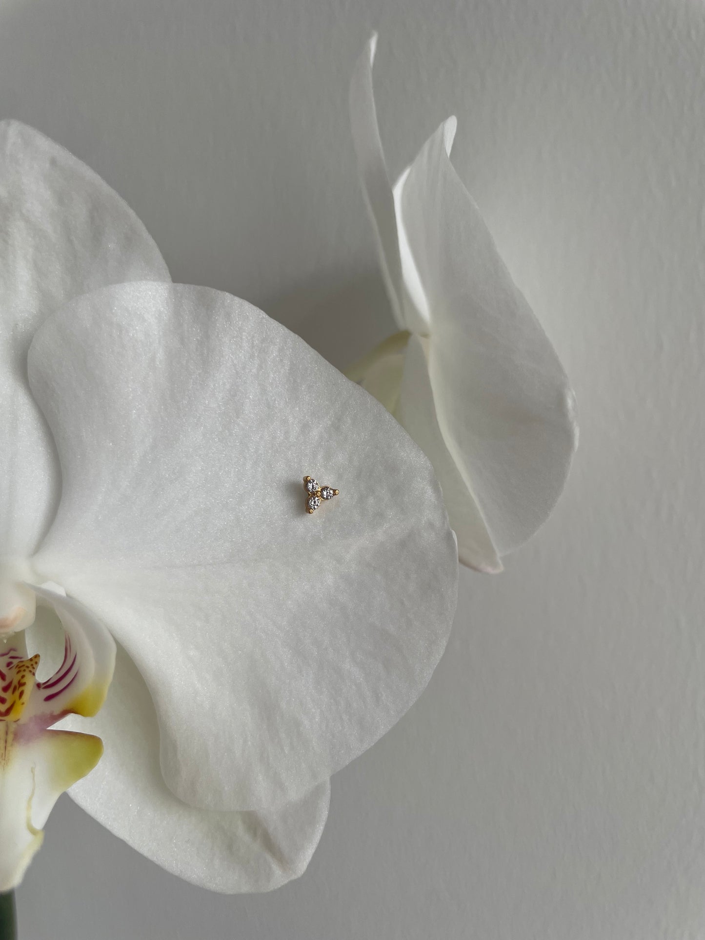 Piercing triple golden