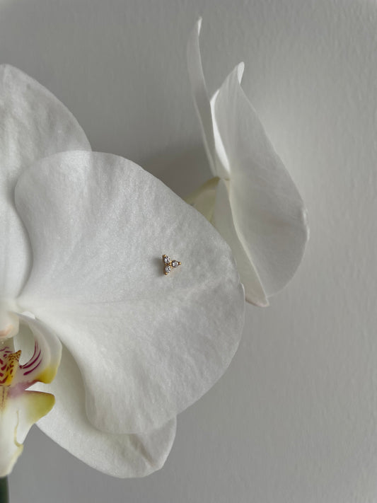 Piercing triple golden