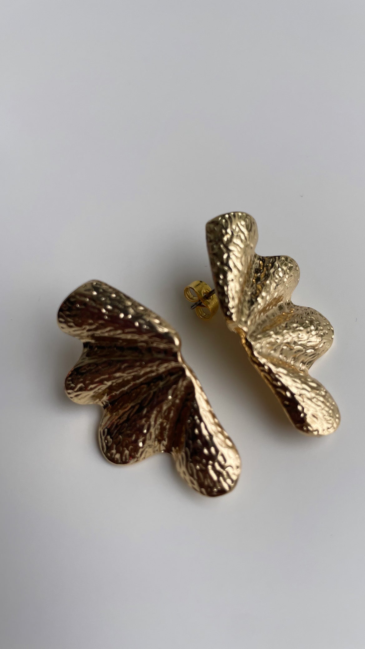 Butterfly wings