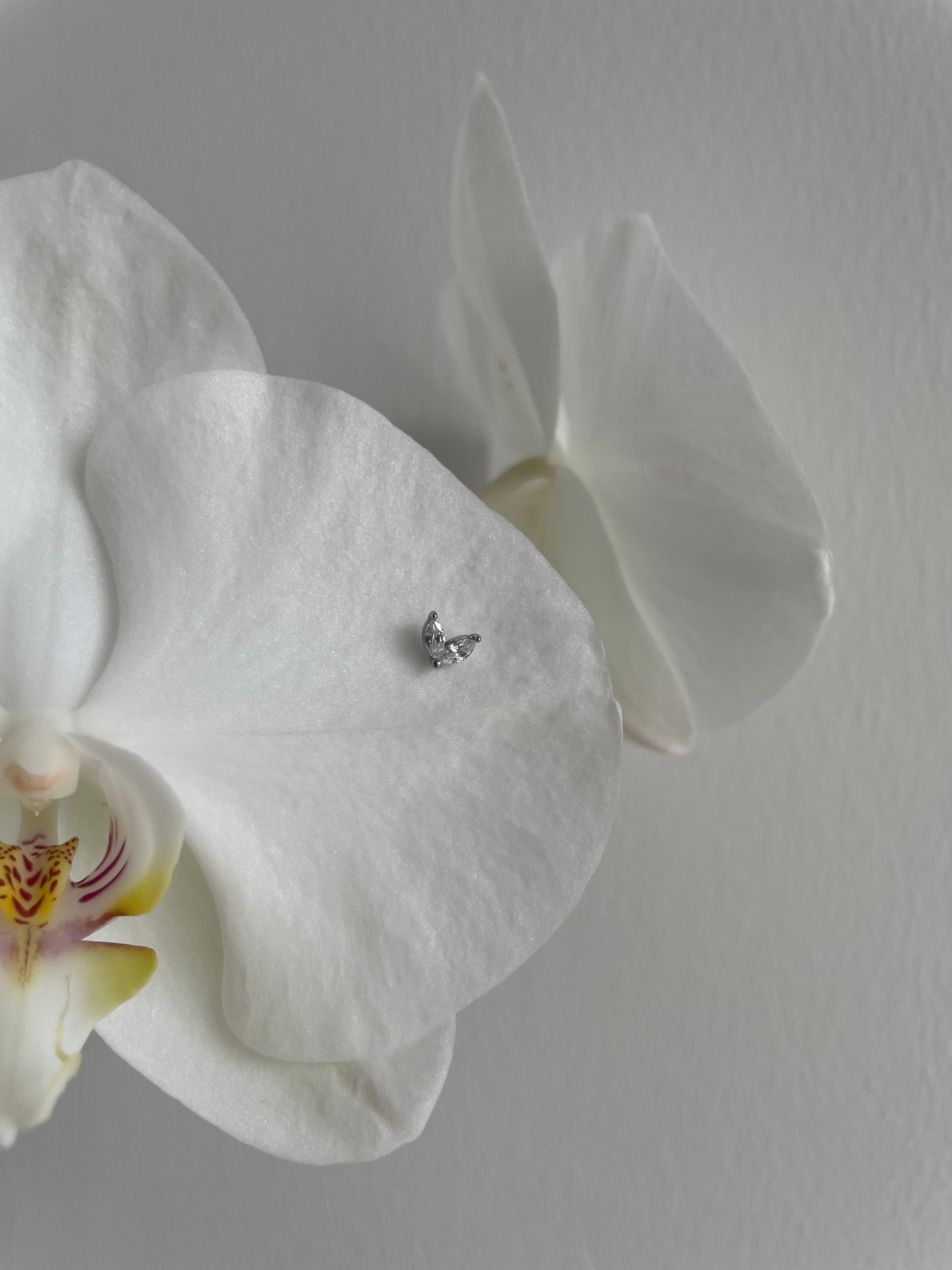 Piercing silver leaves