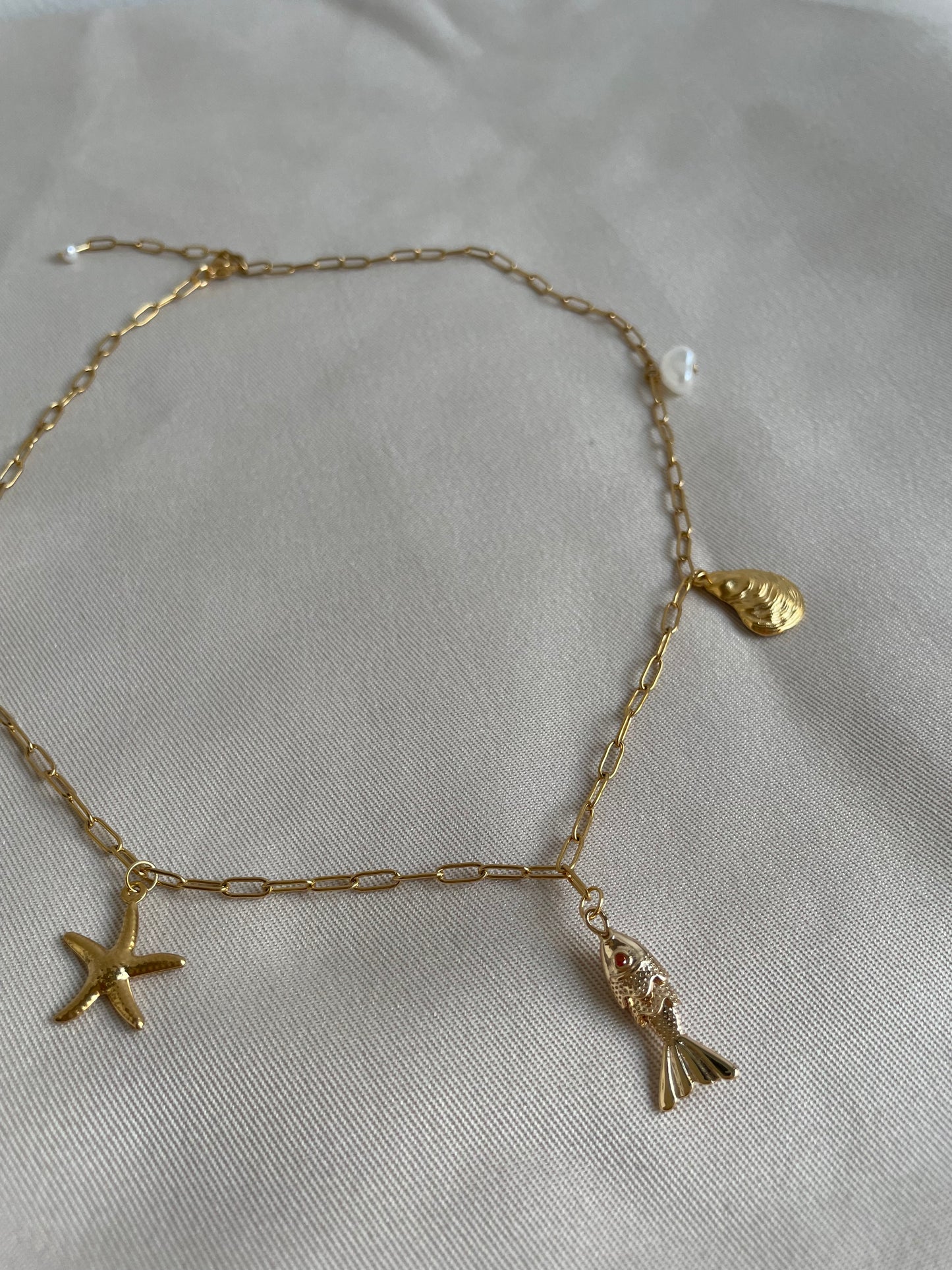 Tide & treasure