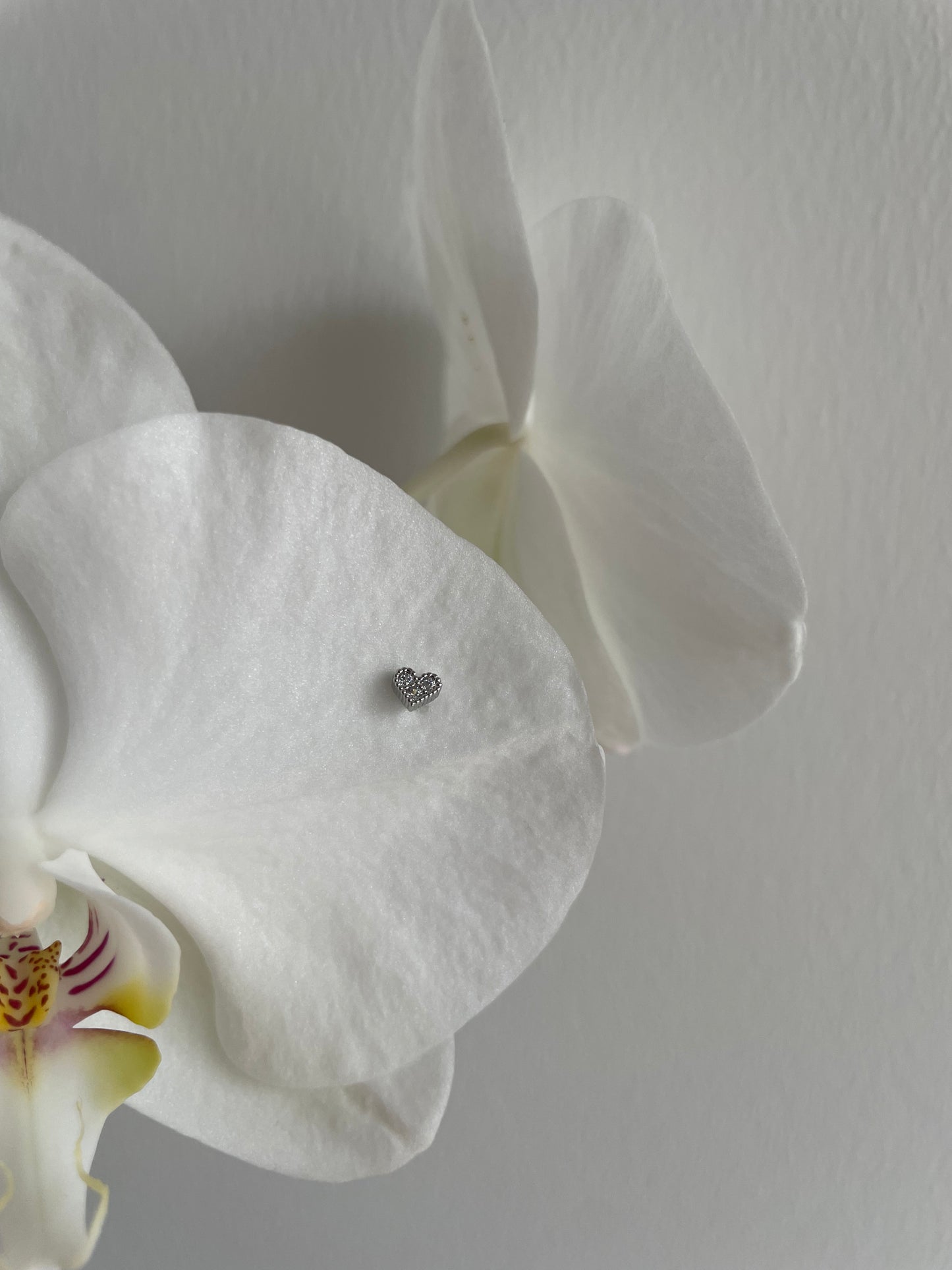 Piercing silver heart